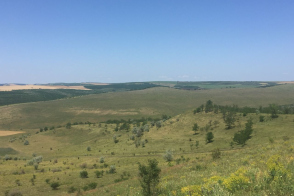 Teren agricol spre vânzare | Rezina, Ghiduleni