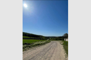 Spre vânzare teren agricol | Colonița, Valea-Colonița