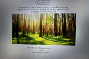 Teren forestier, Bardar, 100 ari