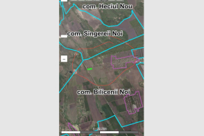 Vânzare teren agricol | 2.58 ha | Sîngerei, Bilicenii Noi