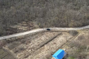 Se oferă spre vânzare un teren forestier cu suprafața de 2 hectare