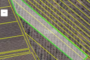 Vânzare teren agricol | 56 ari | Strășeni, Sireți