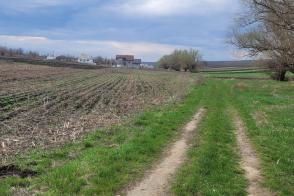 Vânzare teren pentru construcții | 6 ari | Pașcani, r. Criuleni