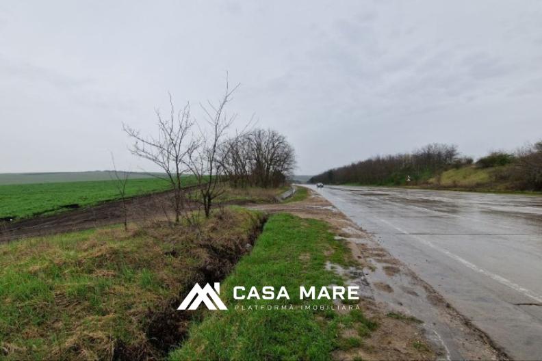 Teren agricol de 23,7 ari, cu acces facil la Chișinău! 3