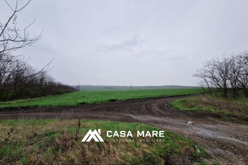 Teren agricol de 26,5 ari — zona Băcioi, Frumușica, Străisteni 4