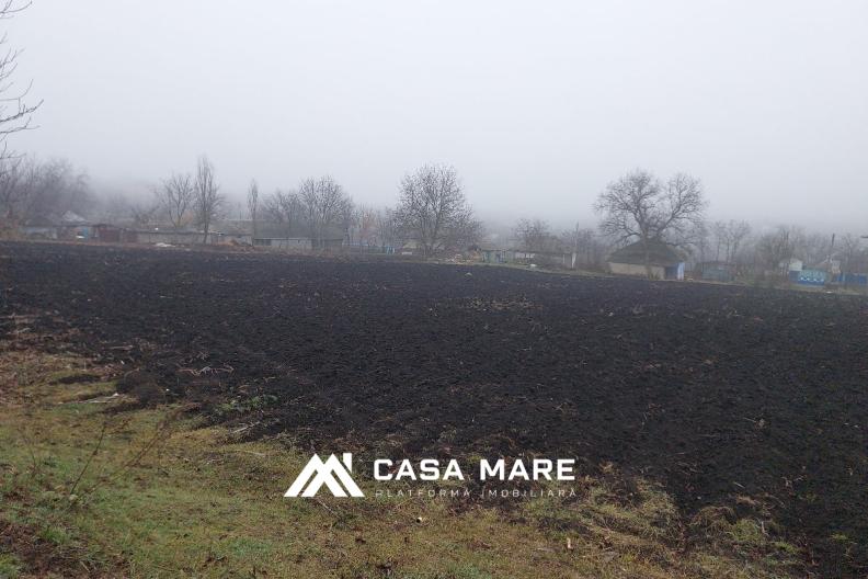 Spre vânzare teren pentru construcții | 87 ari | Soroca, s. Șolcani 6