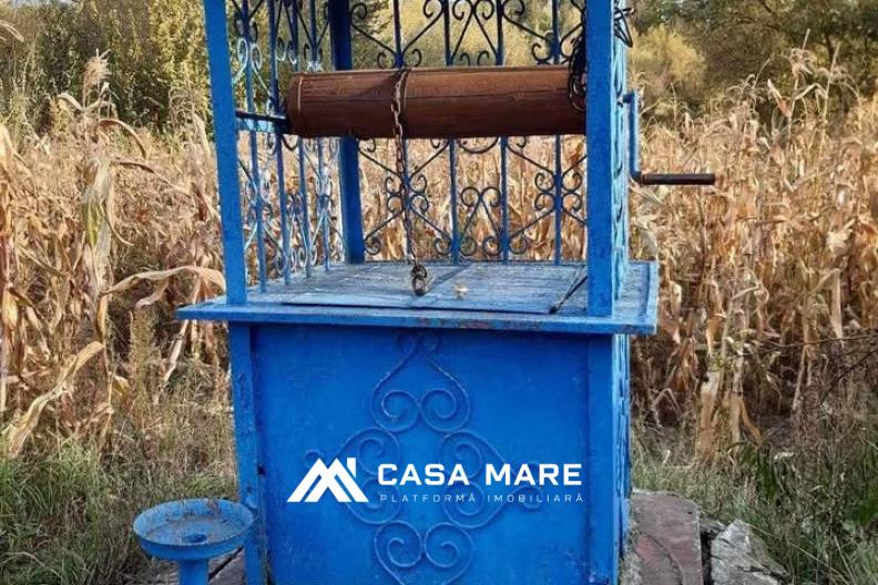 Casă cu teren spre vânzare | 27 ari | Edineț, Terebna 10